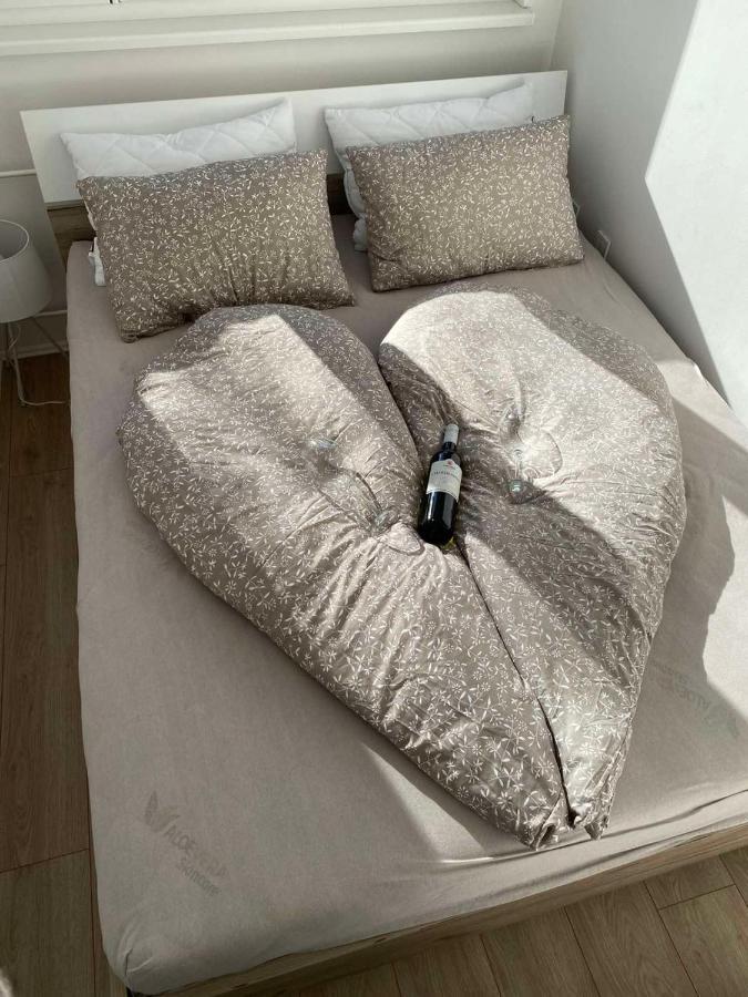 Cosy Apart Aca ベオグラード エクステリア 写真